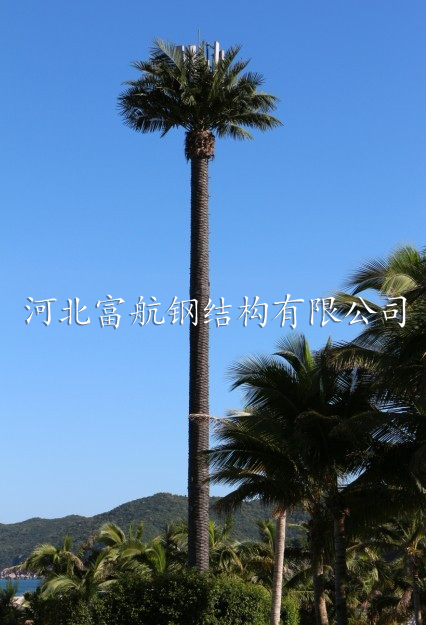 (sh)